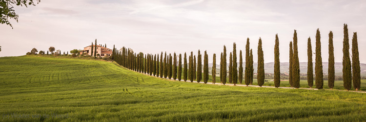 2013-04-28 - Typisch Toscaans landschap - enorme oprijlaan met cipressen<br/>Toscane - Omgeving Montecalcino - Italië<br/>Canon EOS 7D - 35 mm - f/8.0, 1/200 sec, ISO 400