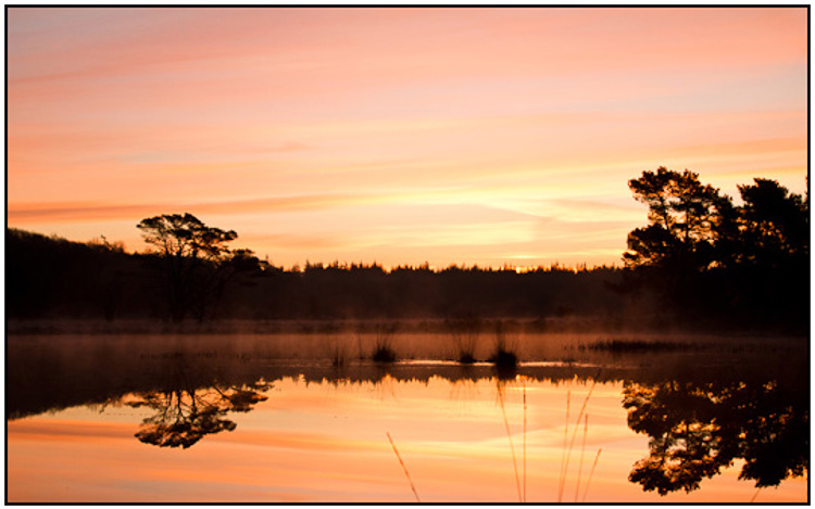 2011-03-20 - Kootwijkerveen met mist bij zonsopkomst<br/>Kootwijkerveen - Kootwijk - Nederland<br/>Canon EOS 7D - 40 mm - f/8.0, 1/30 sec, ISO 200