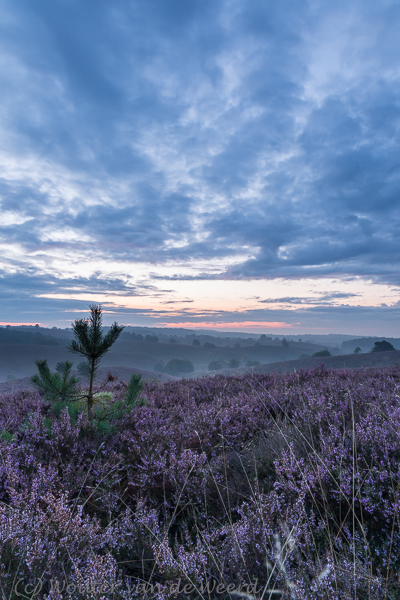 2014-08-23 - Net voor zonsopkomst<br/>Veluwezoom - Posbank - Rheden - Nederland<br/>Canon EOS 5D Mark III - 24 mm - f/11.0, 3.2 sec, ISO 100