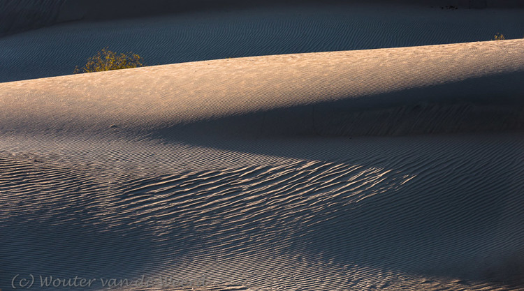 2014-07-25 - Lichtspel op de zandduinen<br/>Death Valley - Beatty - Verenigde Staten<br/>Canon EOS 5D Mark III - 165 mm - f/8.0, 1/125 sec, ISO 400