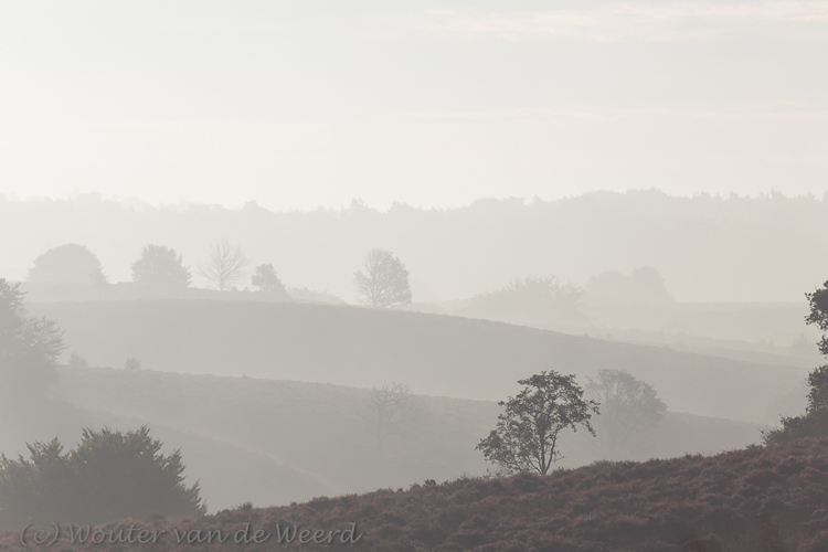 2014-08-23 - Lagen in het mistige landschap<br/>Veluwezoom - Posbank - Rheden - Nederland<br/>Canon EOS 5D Mark III - 250 mm - f/8.0, 1/1000 sec, ISO 200