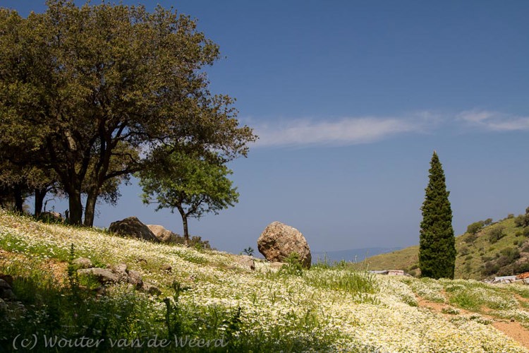 2012-04-29 - Bloemig landschap<br/>Mithymna (Lesbos) - Griekenland<br/>Canon EOS 7D - 40 mm - f/8.0, 1/320 sec, ISO 200
