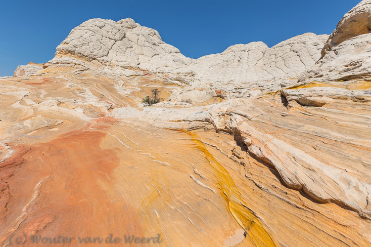 2014-07-17 - Hier en daar liepen gele lijnen in de rotsen<br/>White Pocket - Arizona - Verenigde Staten<br/>Canon EOS 5D Mark III - 16 mm - f/11.0, 1/250 sec, ISO 100