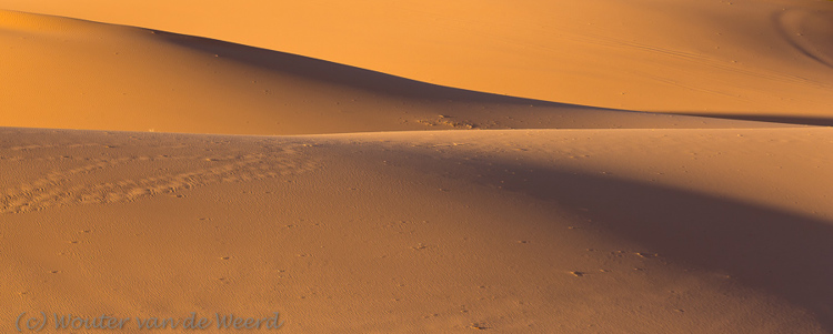 2014-07-16 - Zand-landschap<br/>Coral Pink Sand Dunes - Verenigde Staten<br/>Canon EOS 5D Mark III - 200 mm - f/11.0, 1/30 sec, ISO 400