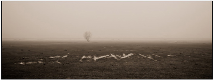 2011-02-28 - Grauw polderlandschap<br/>Arkemheense Polder - Nijkerk - Nederland<br/>Canon EOS 7D - 60 mm - f/4.0, 1/250 sec, ISO 400