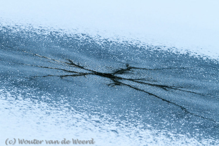 2013-01-16 - Bevroren meertje<br/>Natuurpark Lelystad - Lelystad - Nederland<br/>Canon EOS 7D - 300 mm - f/6.3, 0.04 sec, ISO 400