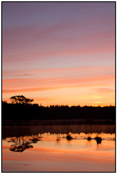 2011-03-20 - Mooi warm licht net vóór zonsopkomst<br/>Kootwijkerveen - Kootwijk - Nederland<br/>Canon EOS 7D - 40 mm - f/11.0, 1/8 sec, ISO 200