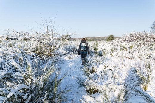 2014-12-28 - Eindelijk sneeuw<br/>Plantage Willem III - Elst - Nederland<br/>Canon EOS 5D Mark III - 24 mm - f/11.0, 1/80 sec, ISO 200