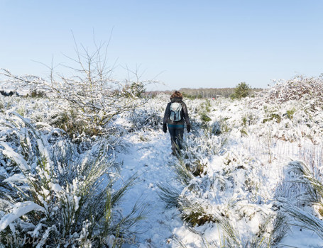 Sneeuw