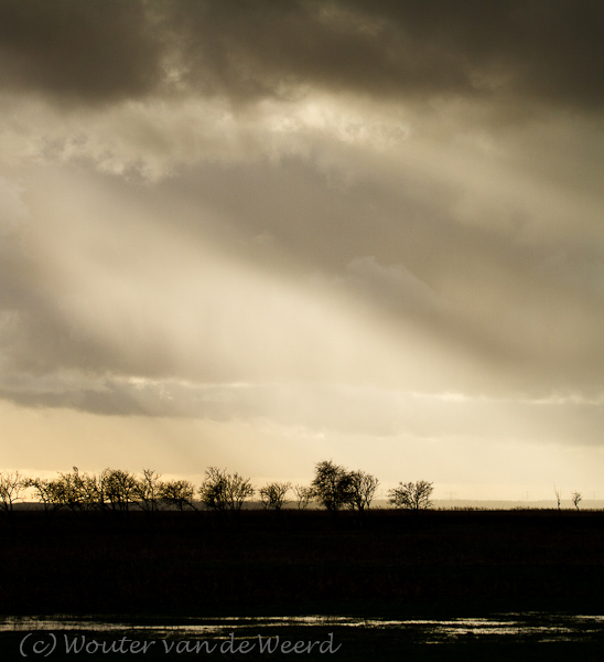 2012-01-02 - Net voor de bui<br/>Oostvaardersplassen - Lelystad - Nederland<br/>Canon EOS 7D - 100 mm - f/6.3, 1/2000 sec, ISO 800