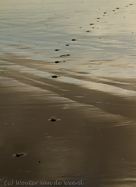 2011-12-30 - Sporen in het natte zand<br/>Zuidpier en strand - IJmuiden - Nederland<br/>Canon EOS 7D - 100 mm - f/5.6, 1/1600 sec, ISO 400