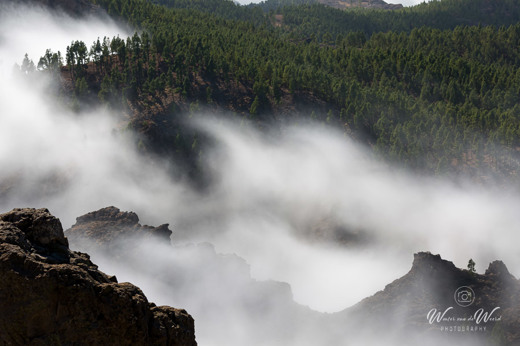 2021-10-22 - Wolken drijven tussen de rotsachtige bergen en dennenbomen<br/>Pico de las Nieves - Tejeda - Gran Canaria - Spanje<br/>Canon EOS 5D Mark III - 100 mm - f/11.0, 1/125 sec, ISO 100