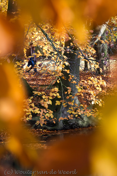 2012-11-11 - Doorkijkje<br/>Slot Zeist park - Zeist - Nederland<br/>Canon EOS 7D - 105 mm - f/5.6, 0.02 sec, ISO 400