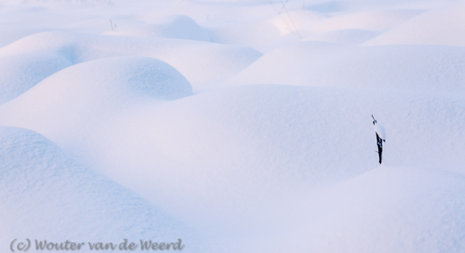 2015-01-30 - Sneeuwbulten<br/>Hoge Venen - Baraque Michel - België<br/>Canon EOS 5D Mark III - 70 mm - f/8.0, 1/40 sec, ISO 200