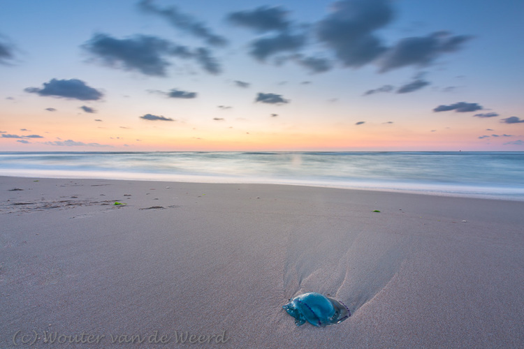 2018-08-08 - Kwal<br/>Strand - Vlieland - Nederland<br/>Canon EOS 5D Mark III - 17 mm - f/16.0, 13 sec, ISO 100