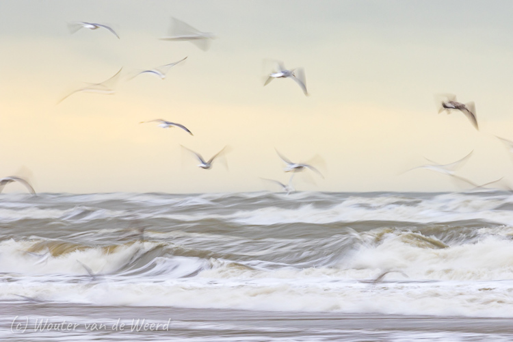 2020-01-04 - Zee-gevoel<br/>Strand - Katwijk aan zee - Nederland<br/>Canon EOS 7D Mark II - 400 mm - f/16.0, 1/8 sec, ISO 100