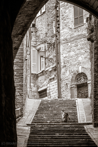 2013-05-02 - Poes op een trap<br/>Umbrië - Perugia - Italië<br/>Canon EOS 7D - 105 mm - f/8.0, 1/60 sec, ISO 400