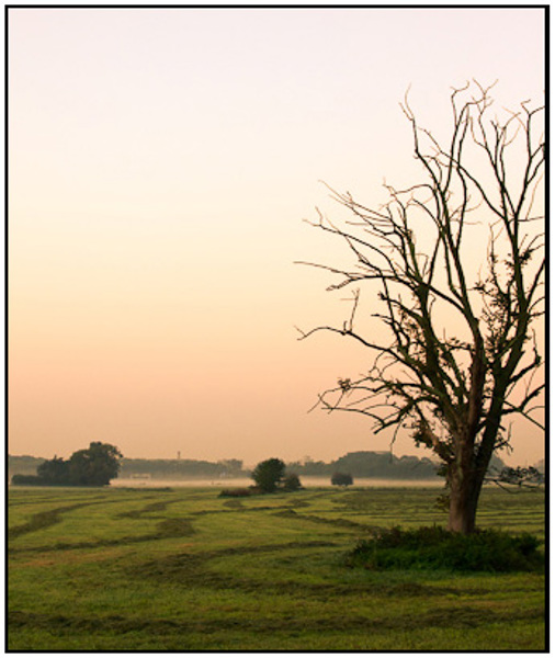 2011-10-01 - Pas gemaaid, net voor zonsopkomst<br/>De Bilt - Nederland<br/>Canon EOS 7D - 32 mm - f/8.0, 0.04 sec, ISO 400