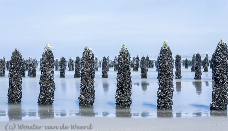 2014-04-09 - Heel veel mosselpalen<br/>Opaalkust - Cap Gris Nez - Wissant - Frankrijk<br/>Canon EOS 5D Mark III - 70 mm - f/16.0, 25 sec, ISO 100