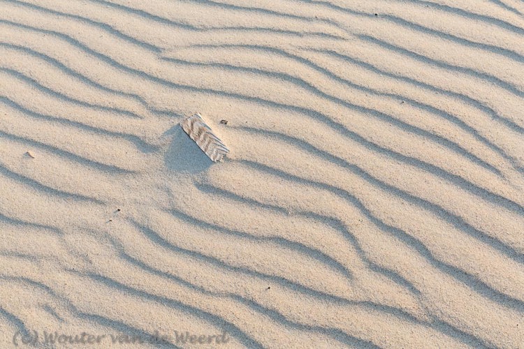 2018-08-08 - Zandstructuur met houtje<br/>Strand - Vlieland - Nederland<br/>Canon EOS 5D Mark III - 57 mm - f/11.0, 0.05 sec, ISO 200