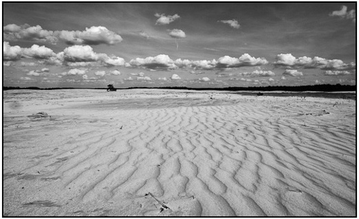 2010-04-02 - Sporen in het zand<br/>NP De Hoge Veluwe - Otterlo - Nederland<br/>Canon EOS 50D - 12 mm - f/11.0, 1/500 sec, ISO 200