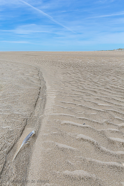 2020-06-01 - Structuren in het zand en een veer<br/>De Hors - Texel - Nederland<br/>Canon EOS 5D Mark III - 24 mm - f/11.0, 1/320 sec, ISO 200