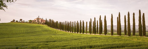 2013-04-28 - Typisch Toscaans landschap - enorme oprijlaan met cipressen<br/>Toscane - Omgeving Montecalcino - Italië<br/>Canon EOS 7D - 35 mm - f/8.0, 1/200 sec, ISO 400