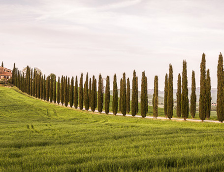 Toscane Toscane
