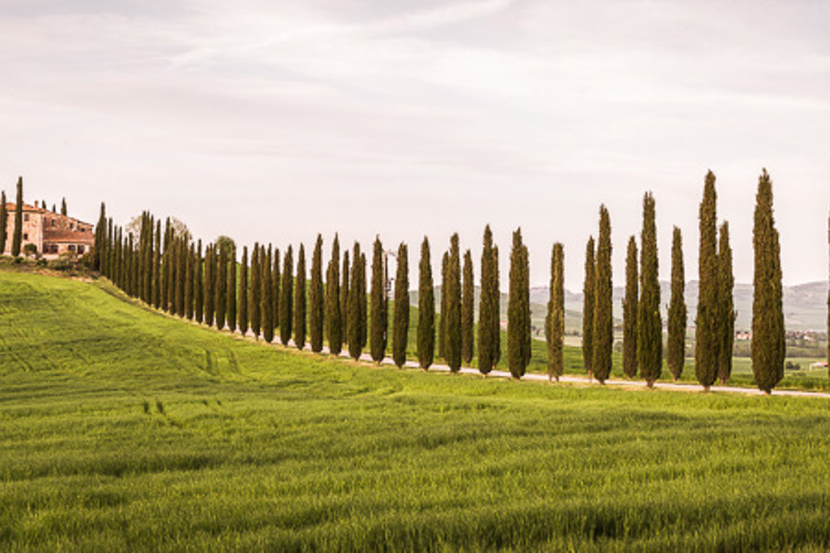 Toscane Toscane