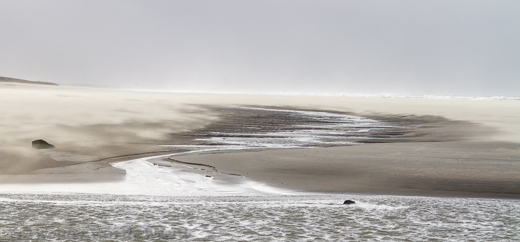 2014-01-07 - Zeehond bij het strand<br/>Strand - Katwijk - Nederland<br/>Canon EOS 7D - 98 mm - f/5.6, 1/800 sec, ISO 200