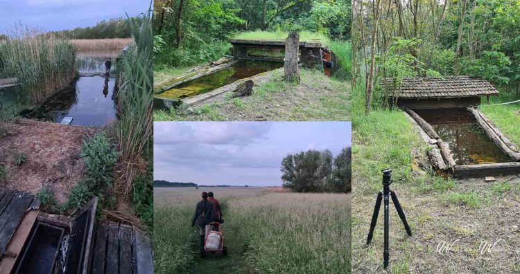 Fotohutten Bence Mate Hongarije - Boshutten en The Cinema