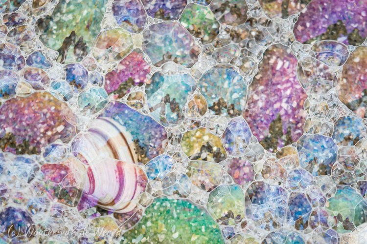 2020-01-04 - Kleurig zeeschuim met schelp<br/>Strand - Katwijk aan zee - Nederland<br/>Canon EOS 7D Mark II - 400 mm - f/5.6, 1/125 sec, ISO 800