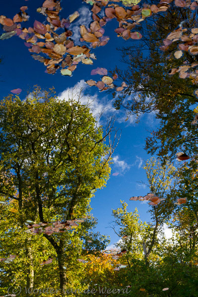 2012-10-27 - Herfstkleuren<br/>Landgoed Rhijnauwen - Bunnik - Nederland<br/>Canon EOS 7D - 45 mm - f/8.0, 0.04 sec, ISO 800