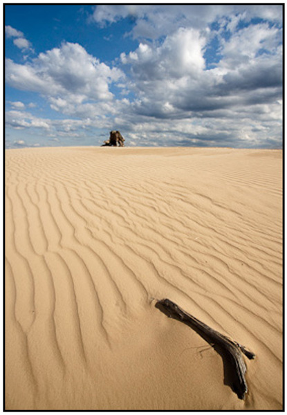 2010-04-02 - Wijdse zandvlakte - verticaal<br/>NP De Hoge Veluwe - Otterlo - Nederland<br/>Canon EOS 50D - 10 mm - f/11.0, 1/500 sec, ISO 200
