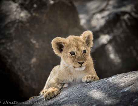 Tanzania