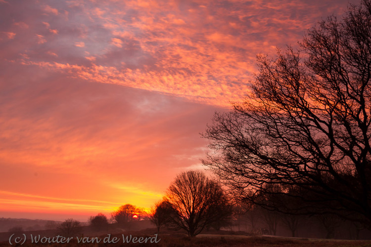 2012-12-03 - Mooie boomsilhouetten tegen een prachtige zonsopkomst<br/>NP De Veluwezoom - Rheden - Nederland<br/>Canon EOS 7D - 24 mm - f/16.0, 1.6 sec, ISO 100