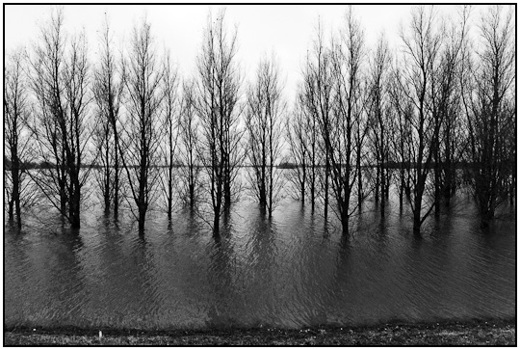 2011-01-22 - Bomen in het water<br/>Ergens lang de Waal - Nederland<br/>Canon EOS 7D - 10 mm - f/8.0, 0.01 sec, ISO 200
