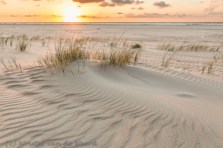 2018-08-08 - Zandstructuren bij zonsondergang<br/>Strand - Vlieland - Nederland<br/>Canon EOS 5D Mark III - 29 mm - f/8.0, 1/60 sec, ISO 400