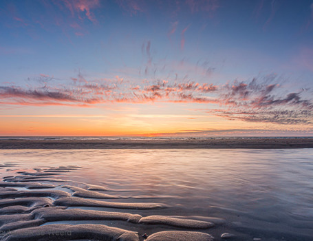 Texel Texel