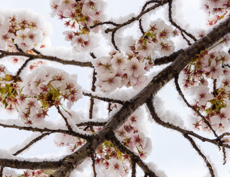 Winterse Winterse