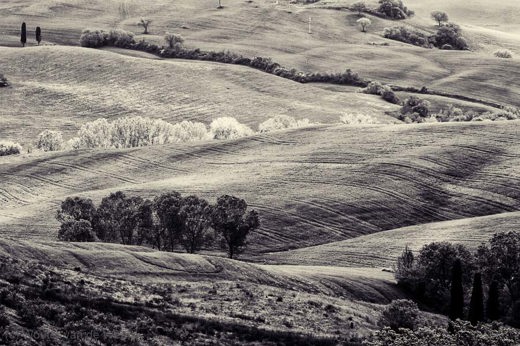 2013-04-28 - Lijnen in een Toscaans zwart-wit landschap<br/>Toscane - Omgeving Pienza - Italië<br/>Canon EOS 7D - 135 mm - f/8.0, 1/640 sec, ISO 400