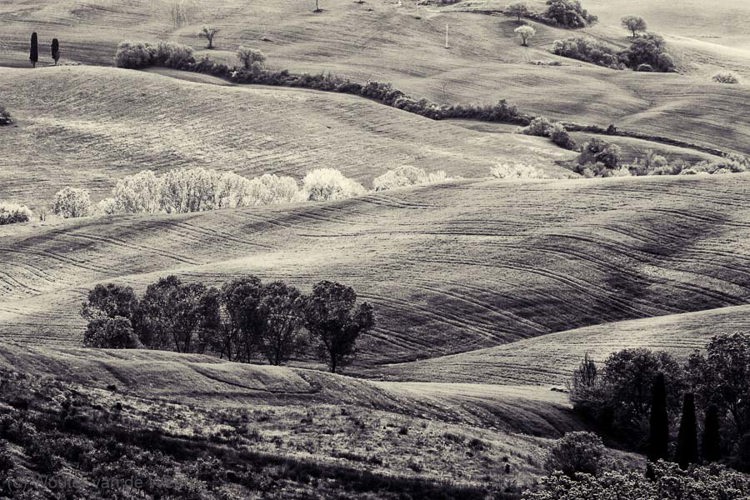 2013-04-28 - Lijnen in een Toscaans zwart-wit landschap<br/>Toscane - Omgeving Pienza - Italië<br/>Canon EOS 7D - 135 mm - f/8.0, 1/640 sec, ISO 400