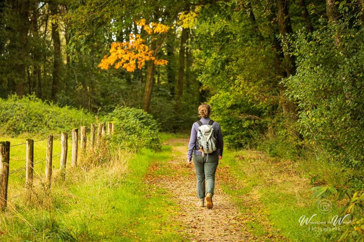 2024-09-27 - Carin aan de wandel<br/>Weerterbos - Nederweert - Nederland<br/>Canon EOS R6m2 - 170 mm - f/7.1, 1/80 sec, ISO 640