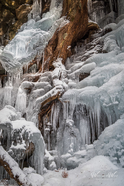 2026-02-10 - De bevroren waterval is een kunstwerk<br/>Haha-no-Shirataki Waterfall - Fujikawaguchiko - Japan<br/>Canon EOS R5m2 - 35 mm - f/8.0, 1/60 sec, ISO 400