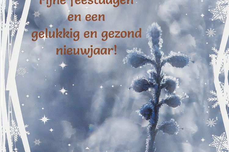 Winterse kerstkaart met bomen sneeuwvlokken Fijne feestdagen en de allerbeste wensen voor 2013! | fotoblog.vdweerd.net