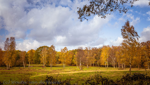 2019-11-09 - Landschap in herfstkleuren<br/>Wolfheze - Heelsum - Nederland<br/>Canon EOS 5D Mark III - 35 mm - f/8.0, 1/125 sec, ISO 200