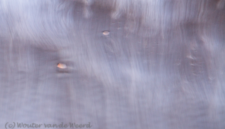 2012-01-23 - Schelpjes in de branding<br/>Pier - Scheveningen - Nederland<br/>Canon EOS 7D - 102 mm - f/9.0, 1.3 sec, ISO 100