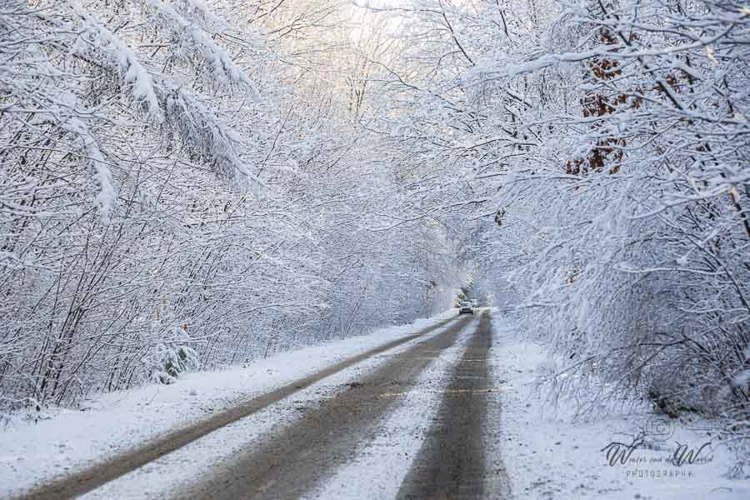 2026-01-04 - Weg door een winter wonderland<br/>Bornia -Heidestein - Zeist - Nederland<br/>Canon EOS R6m2 - 100 mm - f/5.0, 1/500 sec, ISO 800