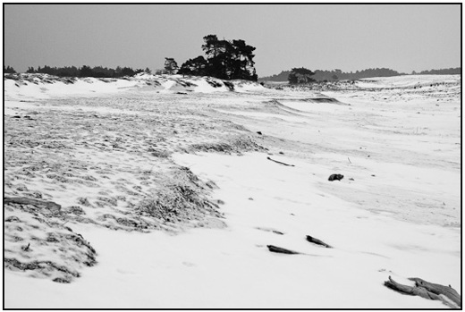 2010-02-15 - Het zand was nog net zichtbaar onder de sneeuw<br/>NP De Hoge Veluwe - Otterlo - Nederland<br/>Canon EOS 50D - 47 mm - f/11.0, 0.05 sec, ISO 400