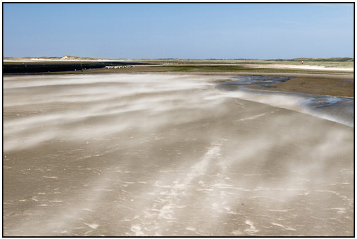 2011-05-22 - De straffe wind blies het zand over de vlakte<br/>De Slufter - Texel - Nederland<br/>Canon EOS 7D - 35 mm - f/18.0, 1/40 sec, ISO 100